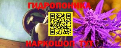 шишки Лесосибирск