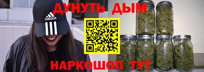 шишки Лесосибирск